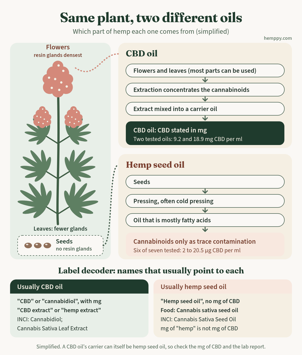 Diagram: hemp flowers and leaves are extracted into CBD oil; seeds are pressed into hemp seed oil with trace cannabinoids